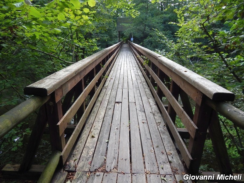 Immagini dal Parco del Ticino